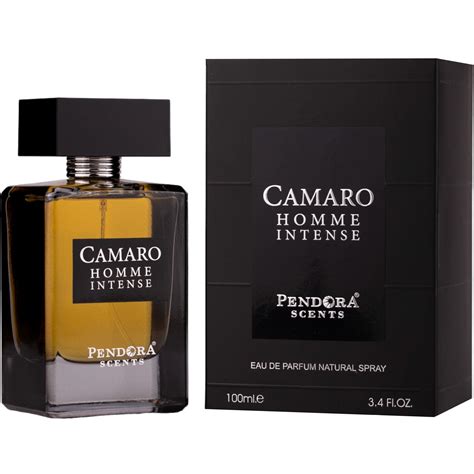 paris corner camaro homme intense